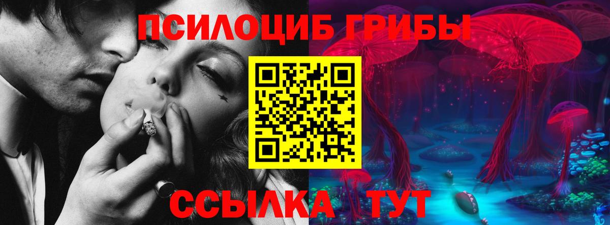 Псилоцибиновые грибы мицелий Ульяновск